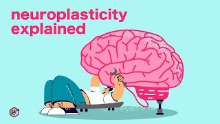 How New Experiences Change Your Brain (Neuroplasticity Explained)