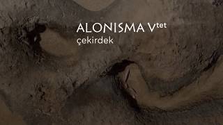 Alonisma Vtet - Cekirdek 2017 new album teaser