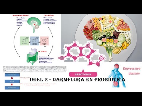 Video: Vetinname En Leeftijd Moduleren De Samenstelling Van De Darmflora En Darmontsteking Bij C57BL / 6J-muizen