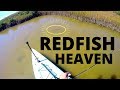 I Found REDFISH HEAVEN! Solo Skiff sight-casting San Luis Pass