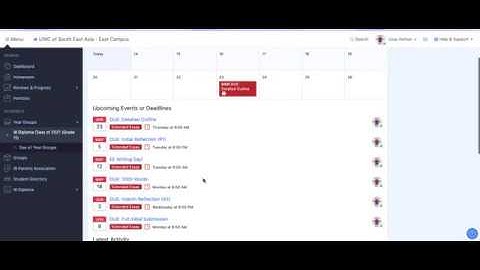 Viewing Docs on Turnitin via ManageBac