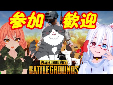 【参加歓迎】PUBGやってくよ！19【VTuber】