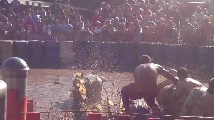 2012 Caldron Falls Hog Wrestling