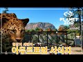 [몽이's플주] 플래닛주 샌드박스 EP8 I 아무르 표범 서식지 I 어린이 동물원