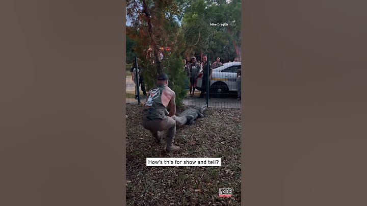 MMA Fighter Wrangles Alligator Off Florida School Grounds #shorts