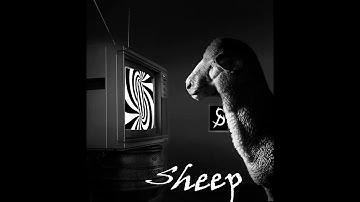 Social Problem - Sheep