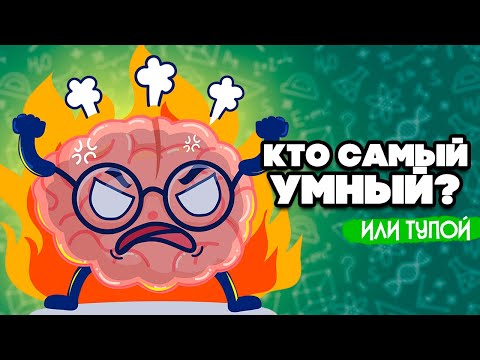 Кто Самый УМНЫЙ или ТУПОЙ на Nintendo Switch ♦ Big Brain Academy: Brain vs. Brain