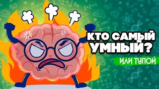 Кто Самый УМНЫЙ или ТУПОЙ на Nintendo Switch ♦ Big Brain Academy: Brain vs. Brain