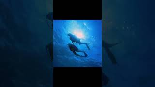 #sports #compilations #compilation #frensh