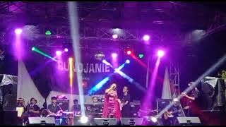 Jangan dendam ani anjani