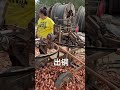 Cable Stripping at Its Best | Copper Recovery Machine in Action #machine
