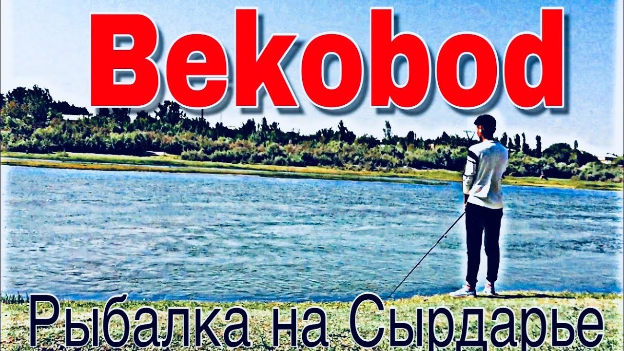 Рыбалка на Сырдарье в городе Бекабад (Baliq Ovi Bekobod shahrida Sirdaryo) Рыбалка в Узбекистане