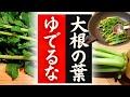 【大根の葉】の美味しい食べ方！驚くほど美味しくなる！