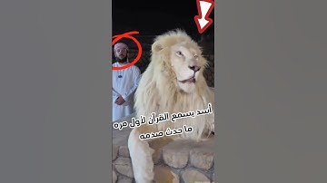 قرأ القرآن الكريم امام الاسد لأول مره ما حدث صدمه #اكسبلور #sorts