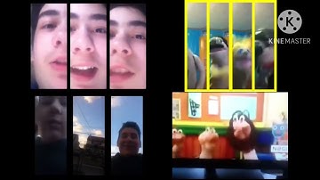 Row Row Row Boat YoTowHoOh Seeded Quadparison 12