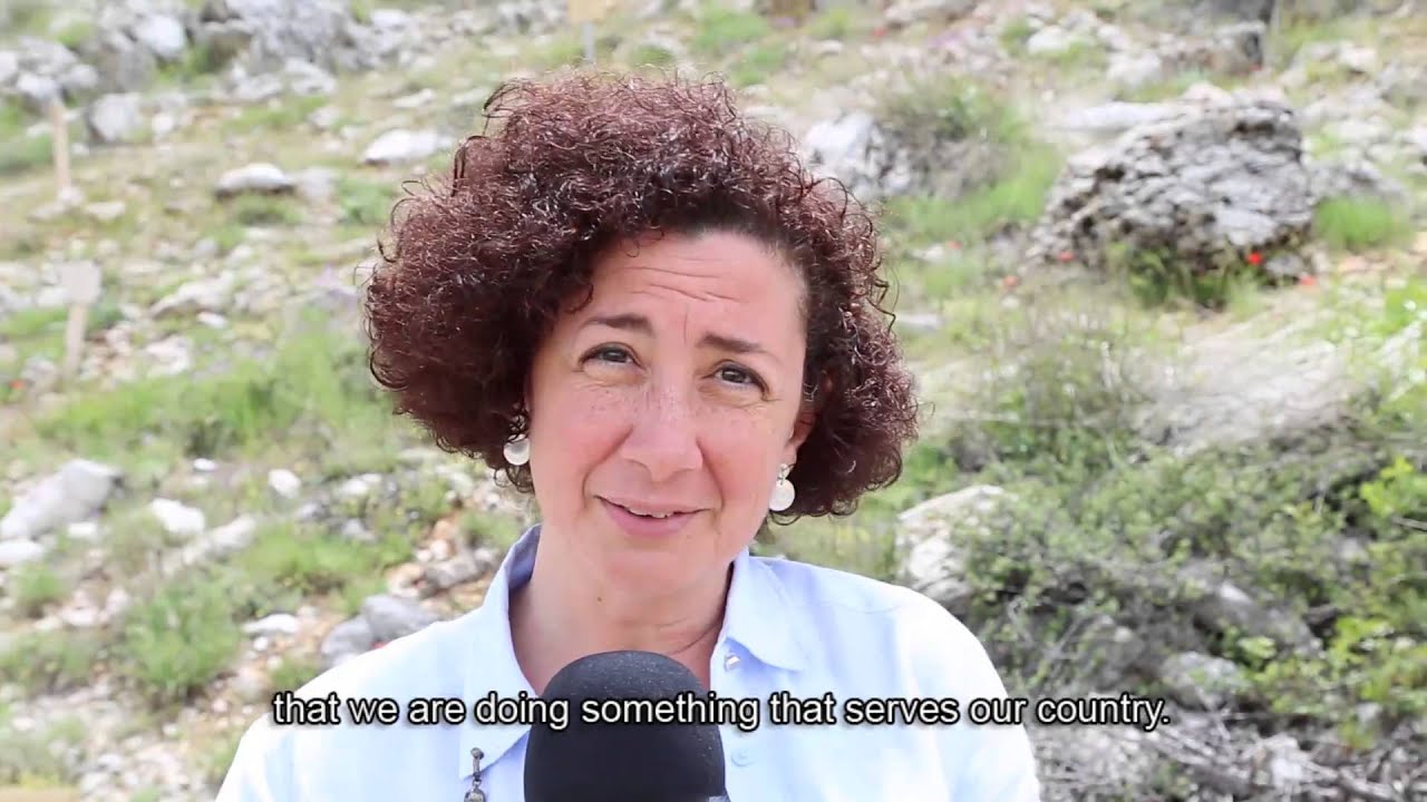 Lebanon Reforestation Initiative - Reforestation and the Private Sector