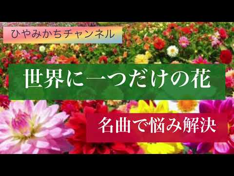 世界に一つだけの花　ひやみかちチャンネル