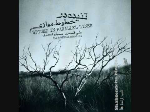 Ali Ghamsari - Taknavazi Tar, Taar