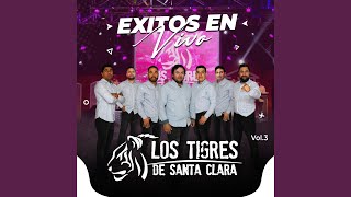 Video thumbnail of "Tigres De Santa Clara - Vestido Blanco - Mi Jaquesita - Viuda Negra (En Vivo)"