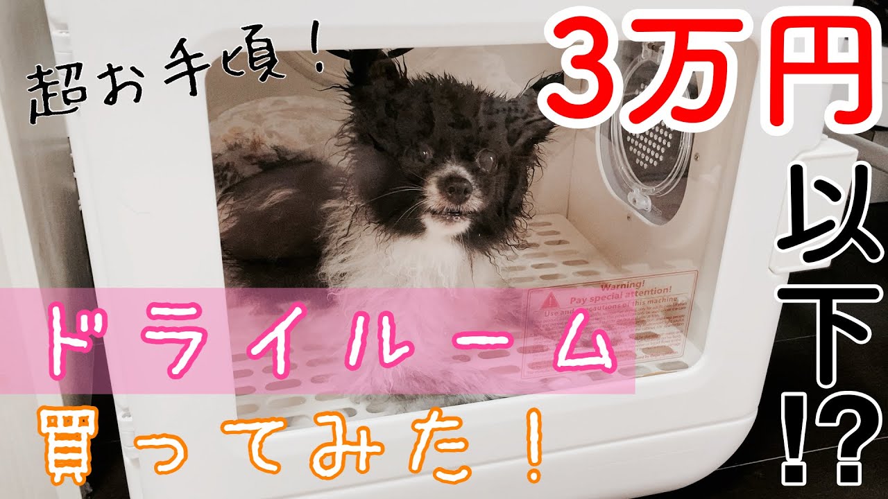 3万円以下で買ったドライルームを使ってみた本音！