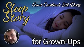 Bedtime Story for Grown Ups | Calm Male Reading | Short Story