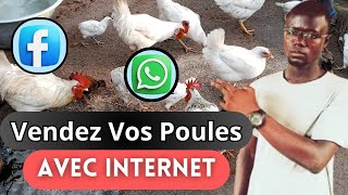 La Méthode Dévoilée [Facile et Rapide] Pour Vendre Vos Poulets Avec Internet