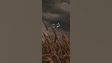 الم ذلك الكتاب لا ريب فيه. ماتيسر من سورة البقرة بصوت الشيخ سعد الغامدي.