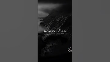 الشيخ عبدالرحمن مسعد سورة العنكبوت