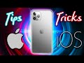 iPhone 11 and 11 Pro Max - First 11 Things To Do!