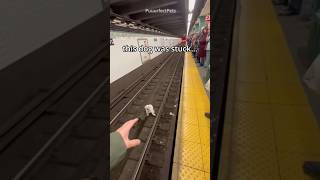 The Dog Was Trapped... I Needed To Do Something