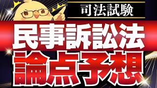 🚨【民事訴訟法】司法試験の重要論点完全網羅 #予備試験 #司法試験