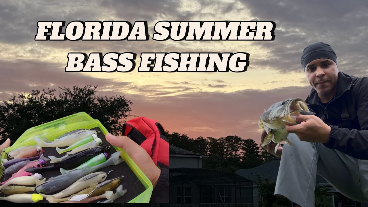 EPIC Florida bass fishing (many fish caught)