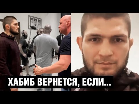 Хабиб вернется в UFC, если...  Что Хабиб сказал Дане Уайту