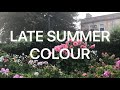 Late summer colour