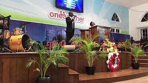All Is Well by Dr Carol Jean Bushell and Mr Theo T...