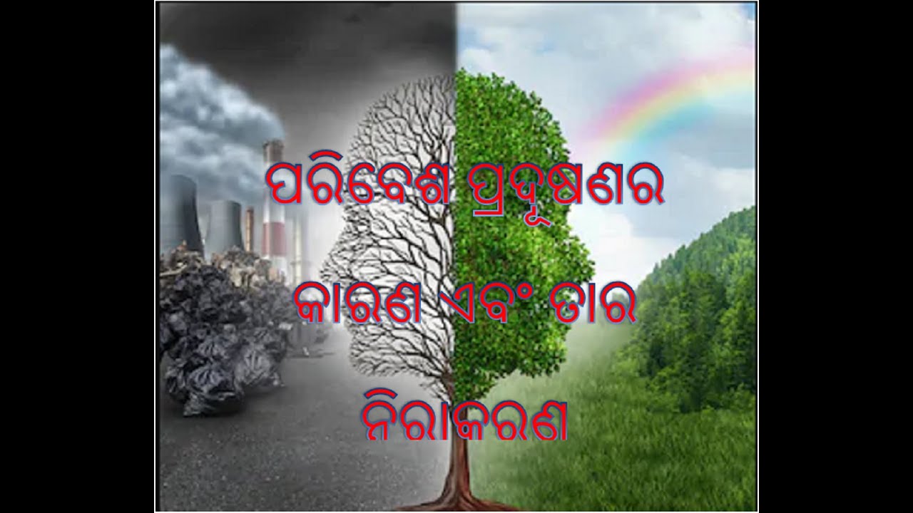 environment essay in odia