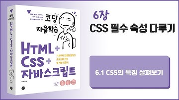 [코딩 자율학습 HTML + CSS + 자바스크립트] 6장 - CSS 필수 속성 다루기 - 1