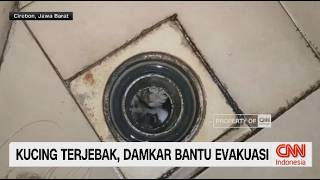 Kucingku Malang, Aksi Dramatis Damkar Selamatkan Anak Kucing Terjebak di Saluran dan Motor