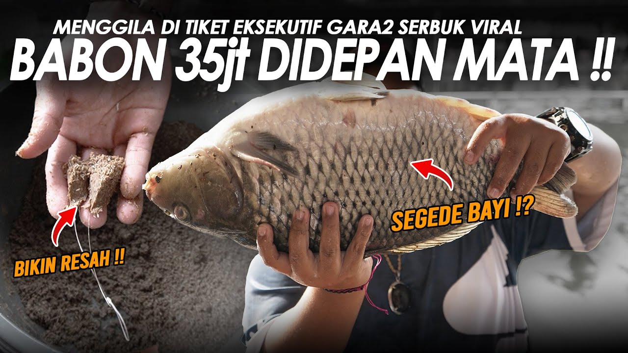 BABON SEHARGA 35jt DIDEPAN MATA !! SERBUK VIRAL BIKIN SEMUA RESAH DI TIKET EKSEKUTIF || Am#677