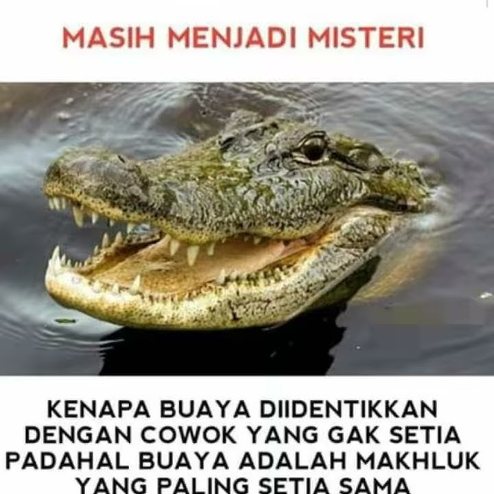 Story wa terbaru supra