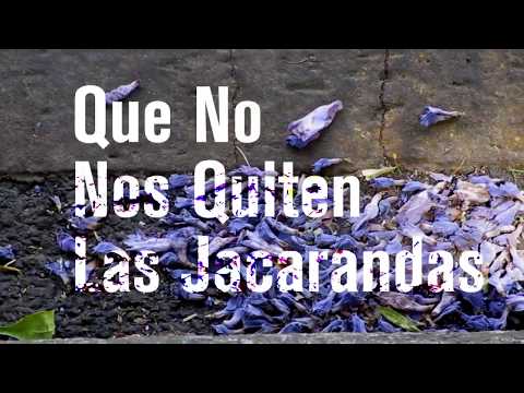 QUE NO NOS