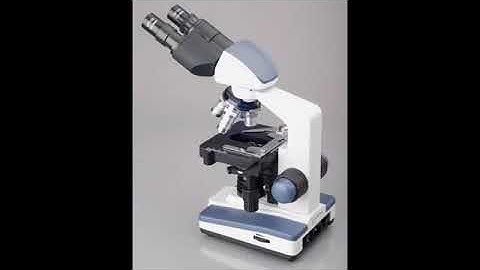 Amscope Binocular 40X 2500X Compound Microscope