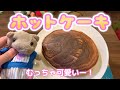 ぶたの似顔絵ホットケーキをつくってみまてぃた！【ぴんくのぶたちゃんねる】