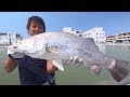 【釣り百景】#215 台湾で延べ竿勝負！淡水&海水の釣り堀で大物釣り