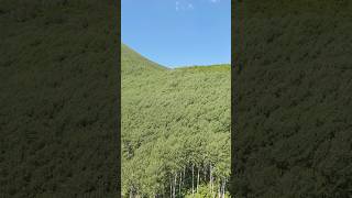 Norveçte Değil Tatvan