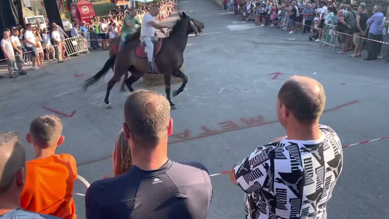 Grande Prémio de Portugal de Corrida de Cavalos