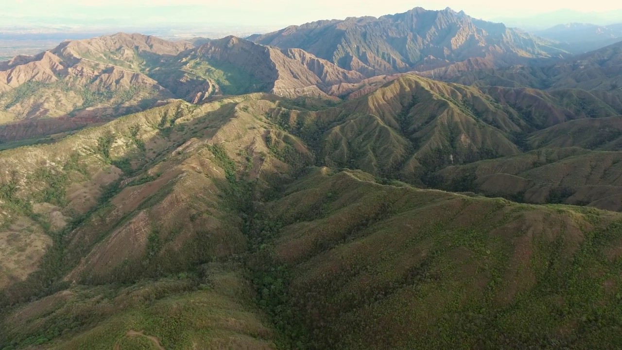 BOSQUE SECO TROPICAL / HUILA YouTube