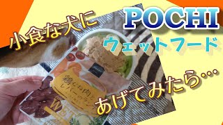 食欲のない愛犬にPOCHIウェットフードあげてみたら…(#^^#)