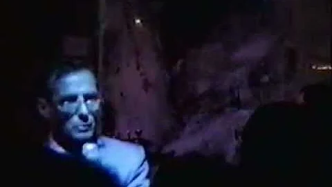 Psychedelic Loungecats 1994 - Richard Mcghee