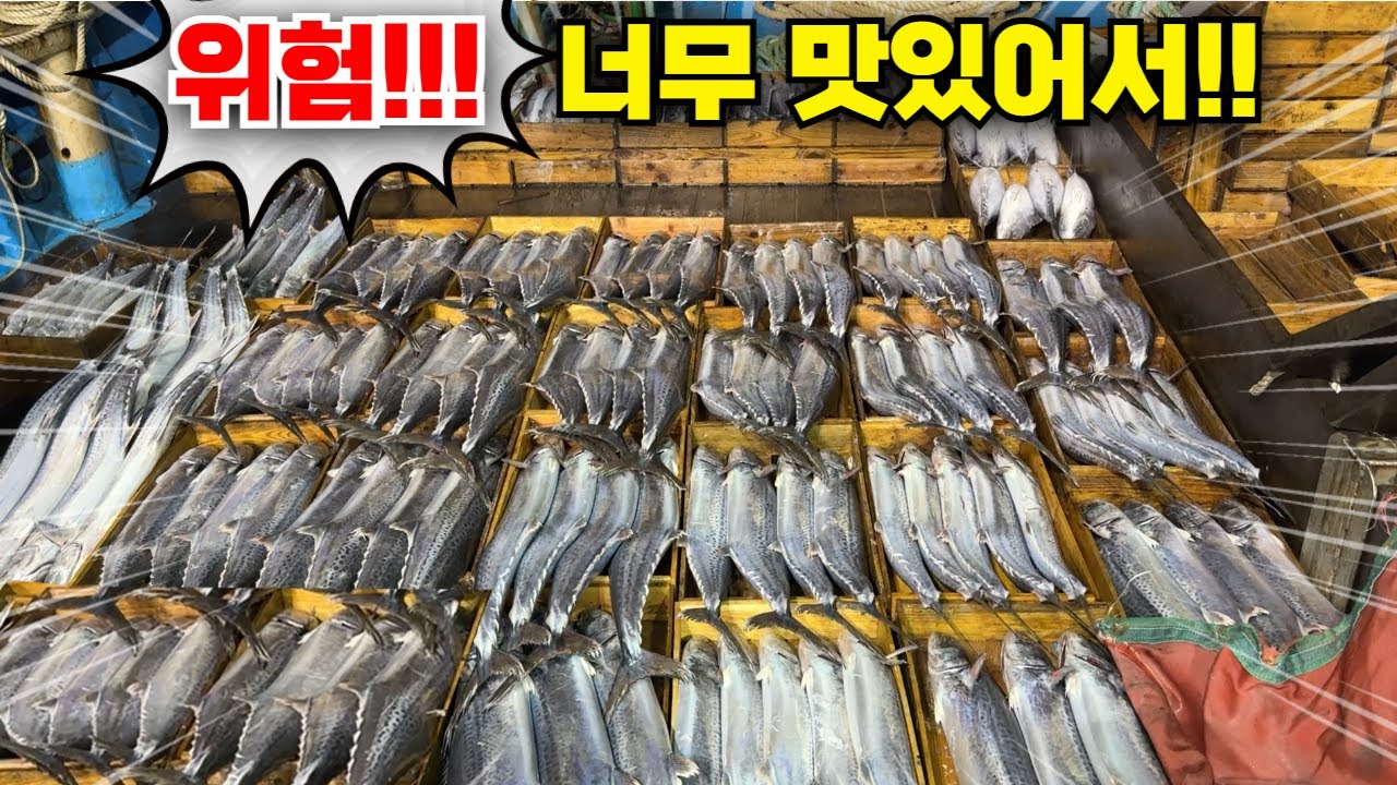 찬바람 불면 현지인들이 즐겨먹는 최고의 술안주 삼치 엄청난 맛이 숨어 있습니다!!